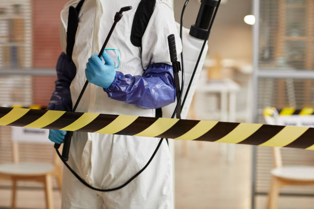 Professional Infectious Disease Decontamination technician working in Thrall, TX